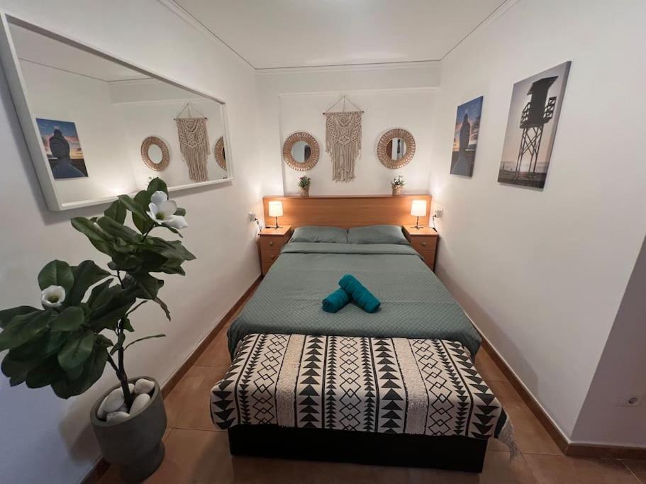 Apartamento Monika Playa Y Grau Gandía Dış mekan fotoğraf